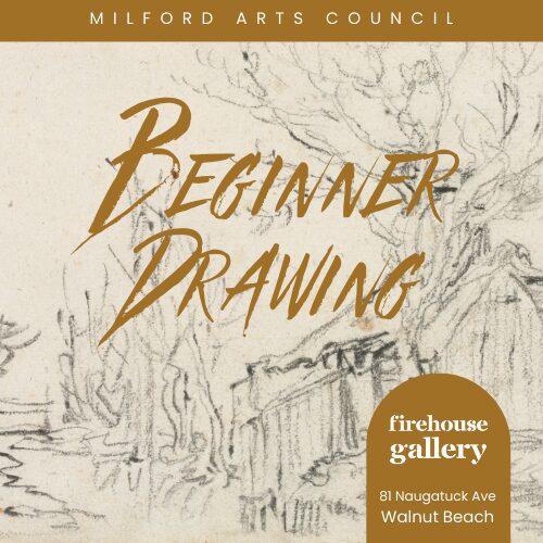 Beginner Drawing Class
